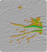 Crow's feet week 12 3D scan